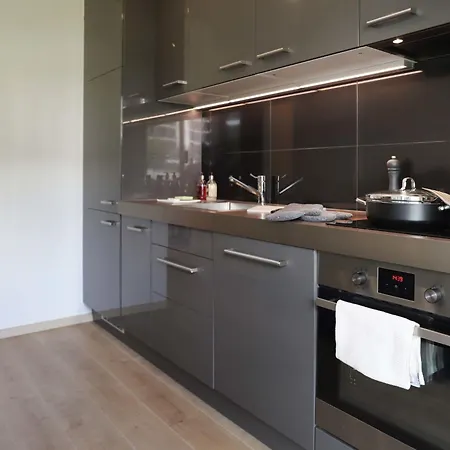 Europa Ouest - 74 By Interhome Apartman Crans-Montana