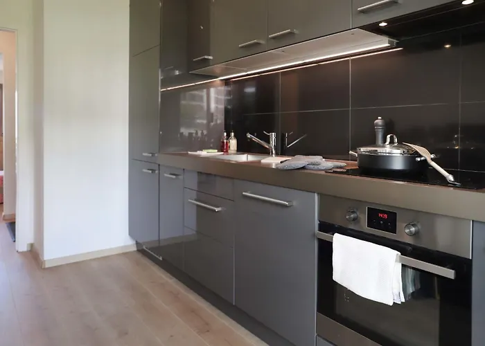Europa Ouest - 74 By Interhome Apartmán Crans-Montana